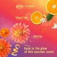 thumbnail image 6 of Febreze Air Mist Luxe Air Freshener Spray, Summer Golden Hour, 8.1 Oz, 6 of 6