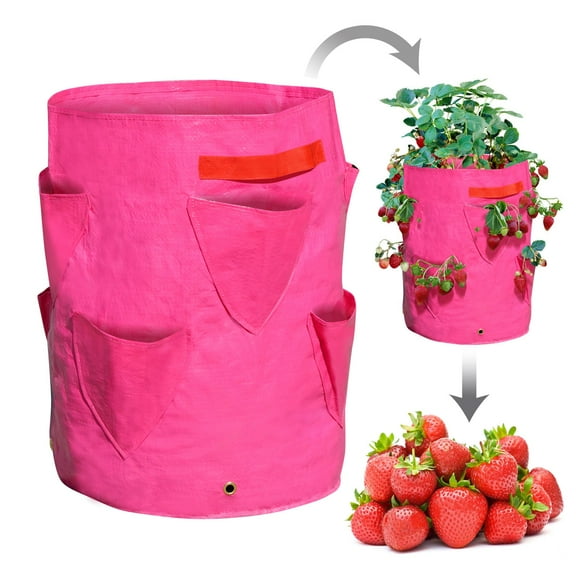 SUNRISEUMBRELLA Strawberry Grow Pots Plant Planter Bags Root Garden Container w Drainage (1 Pack)