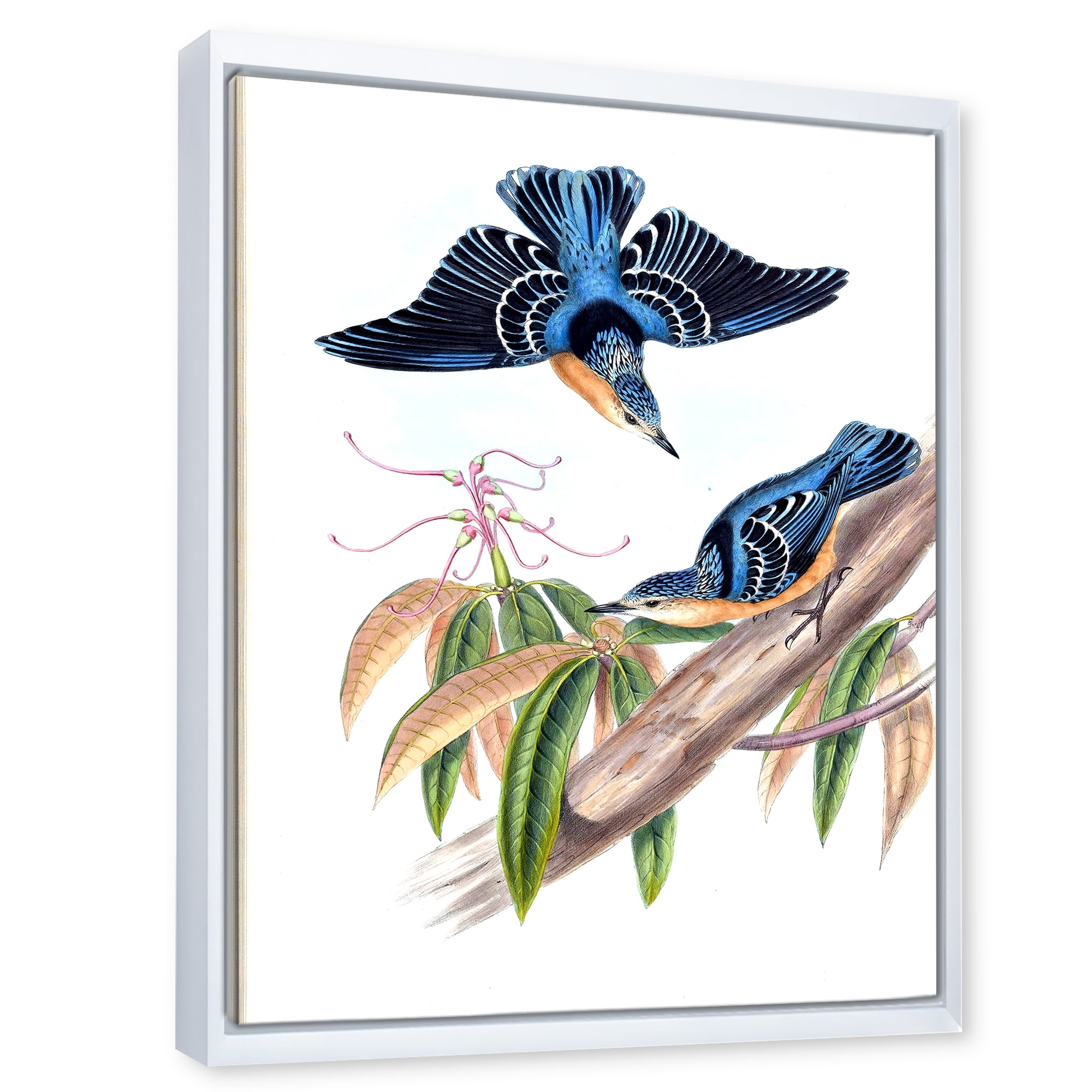 Designart 'Vintage Countryside Birds On Branch V' Farmhouse Framed Canvas Wall Art Print