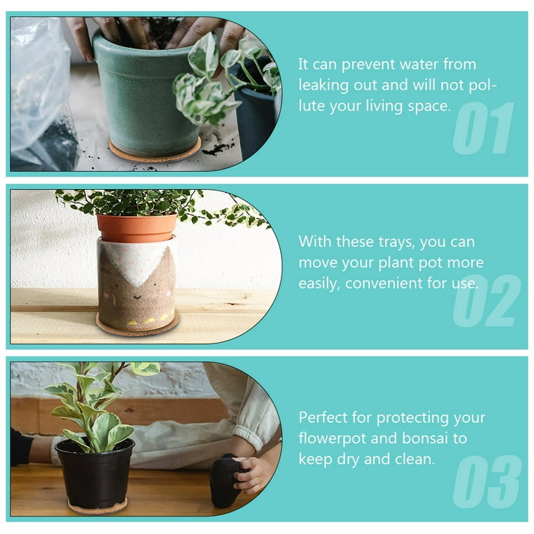 hanging planter moss Hanging Moss Sphere with Amaranthus – PLANT THE FUTURE main image 1