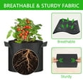 thumbnail image 5 of Tripumer 8 Pack Plant Grow Bags 3 Gallon Fabric Planting Bags with Handles for Vegetable Herbs and Flowers Black, 5 of 7