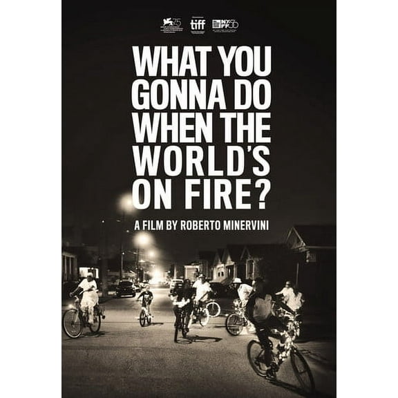What You Gonna Do When The World's On Fire (DVD), Kimstim, Drama