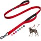 thumbnail image 1 of Correa para perros Fida Heavy Duty de 150 cm con 2 asas acolchadas para perros, 1 of 6