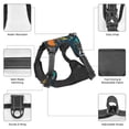 thumbnail image 3 of Vsdgher Hand Drawn Seamless Pattern Dog Harness,No Pull Pet Harness with Soft Padded Handle,Adjustable Reflective Vest with 2 Buckles,4 Slide Buckles,S-XL Medium, 3 of 4