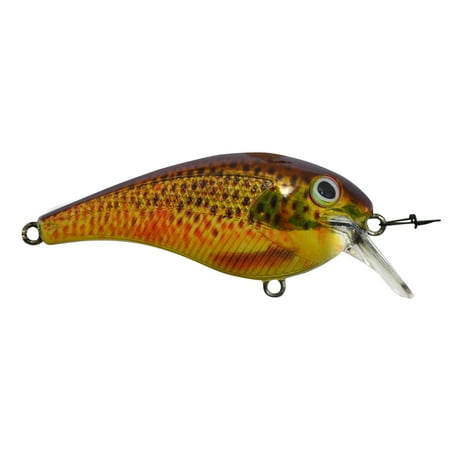Bay Rat Lures, Battle 1.5, Brown Trout (Best Brown Trout Lures)