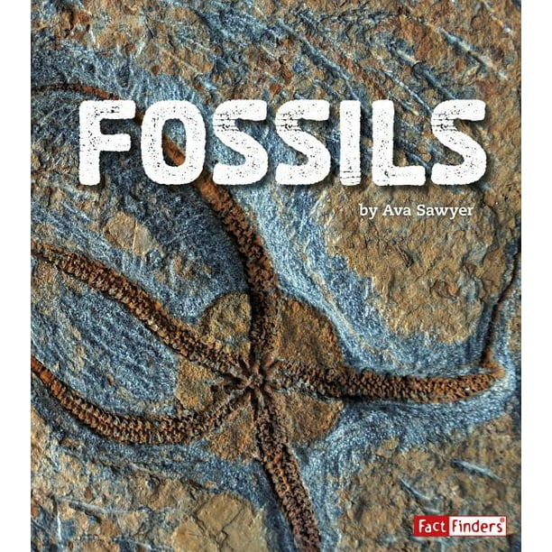 i dig it rocks and fossils