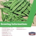 thumbnail image 2 of Harris Seeds Green Bean Roma II, Treated, Non-GMO, 0.5 lb, 2 of 7