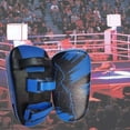 thumbnail image 2 of Kicking Focus Pads Training Boxing Pads Martial Arts Blue, 2 of 8
