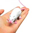 thumbnail image 1 of Plastic Rat Toy, Halloween Decoration, Terrible Prank Props, 1 of 1
