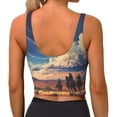 thumbnail image 3 of Lsque Western Desert Cloud Cowboy Printed Women'S Sports Bra, Compression, Moisture Wicking, High-Impact Sports Bra For Women,Supportive sports bra-Medium, 3 of 9