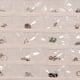 thumbnail image 3 of Organizador de joyas Bewildely transparente a prueba de polvo 80 rejilla negro, 3 of 6
