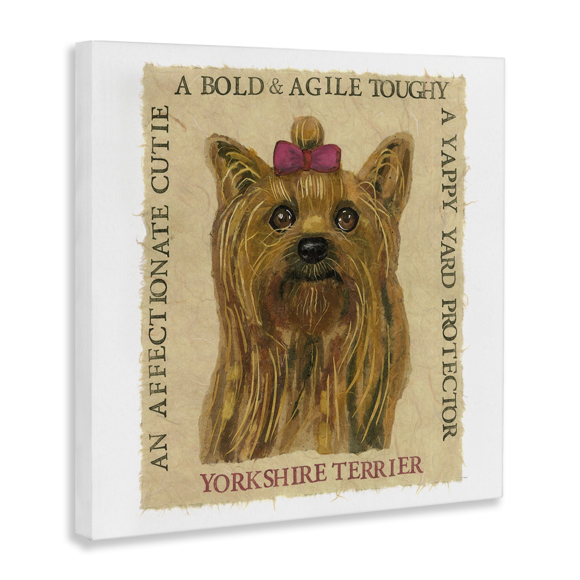 Stupell Industries Fun Yorkshire Terrier Phrases Animals Painting Wrapped Canvas Art Print Wall Art, 36 x 36