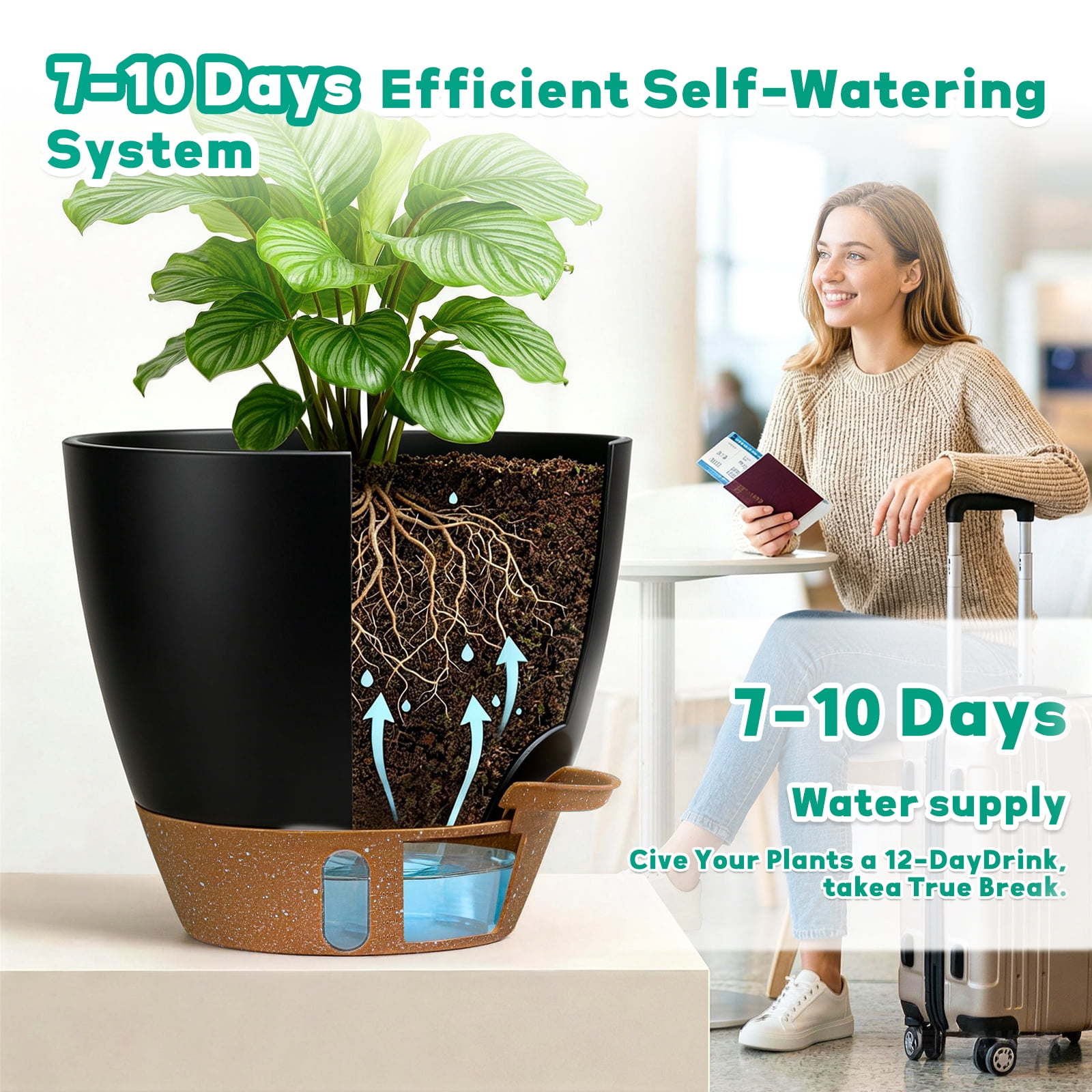 FIASON 5 Pack Plastic 6/8/9/10/12 Inch Black with Brown Self Watering Plant Pots,Include Watering Lip, Drainage Holes & Removable Saucer for Indoor Outdoor Garden House Plants