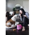 thumbnail image 4 of Juguete Interactivo de Peluche para Perros ZippyPaws Burrow con Donas Chirriantes, 4 of 9