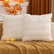 Tosleo Fall Throw Pillow Covers 18x18 Set of 2 White Pumpkin Decorative Pillow Cases Farmhouse Thanksgiving Plush Faux Fur Cushion Covers for Couch Sofa Bed