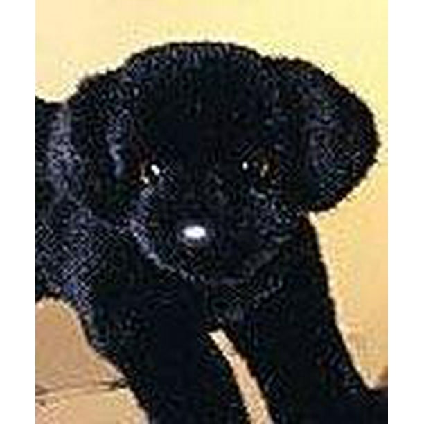 plush black lab stuffed animal