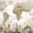 Minimalist Travel To Places World Map, variant on Elephant Stock Colorful World Map Masterpiece I Wall Art - Horizontal Canvas Wall Art - Living Room Wall Decor - Map Canvas - Brown And Gray Decor - 12" x 8"