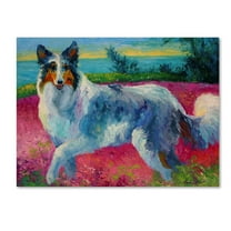 Trademark Fine Art 'Mony Collie' Canvas Art by Marion Rose