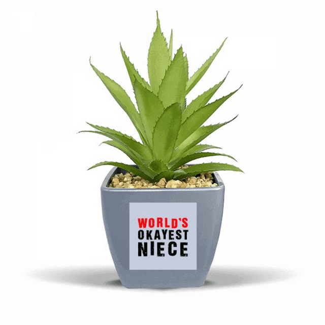 Pot de Fleurs Ananas Faux Citation Meilleure Nièce du Monde Mini Décor