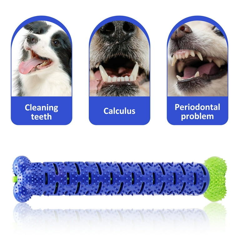 Chew brush for clearance dogs