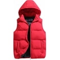 thumbnail image 1 of Chaleco acolchado de invierno para hombre con capucha extraíble para exteriores, 1 of 5