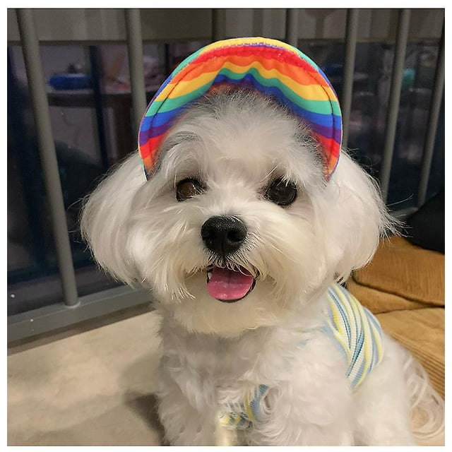 Dww-taille m Casquette pour Chien Chapeau de Baseball de Sport pour Animaux de Compagnie Chapeau de Soleil Chapeau de Toile Réglable pour T Sport Extérieur