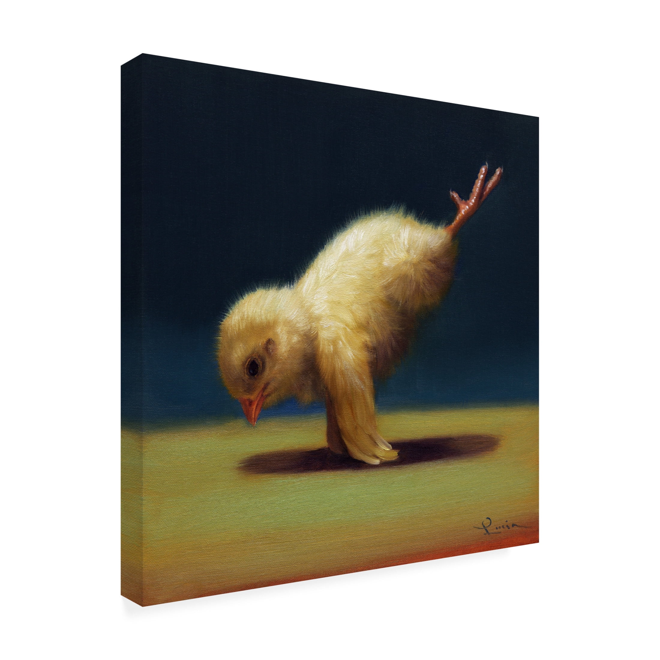 Canvas Wall Art - Lucia Heffernan 'Yoga Chick Peacock' Wall Art for Living Room, Bedroom, or Office Décor by Trademark Fine Art - 18 x 18 Inches