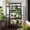 Green, variant on MAYEERTY 62" Tall Outdoor Wood Greenhouse with Wheels – Portable Cold Frame for Balcony, Garden, or Indoor Use with Adjustable Shelves and Roof Vent