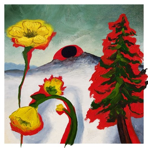 Woods - Strange To Explain - Music & Performance - Vinyl