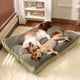 thumbnail image 1 of RKSTN Cat Bed Pet Mat Small Green, 1 of 6