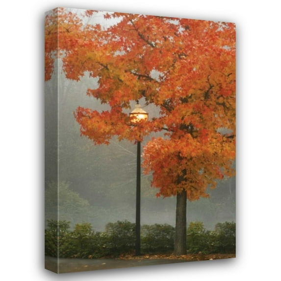 Vitaly Geyman 28x40 Gallery Wrapped Canvas Wall Art Titled - Colors in the Mist II