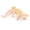 02, variant on Simulation Wild Reptile Animals Action Gecko Figures Lizard Model Figurines Education Congnitive Scene Decoration