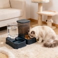 thumbnail image 4 of Dvkptbk plastic bowl Cats Bowl Two In One Drinking Water Dog Water Bowl Rice Bowl Pet Bowl Drinking Water Feeding All One Suitable for Dogs and Cats To Live and Drink Water, 4 of 6