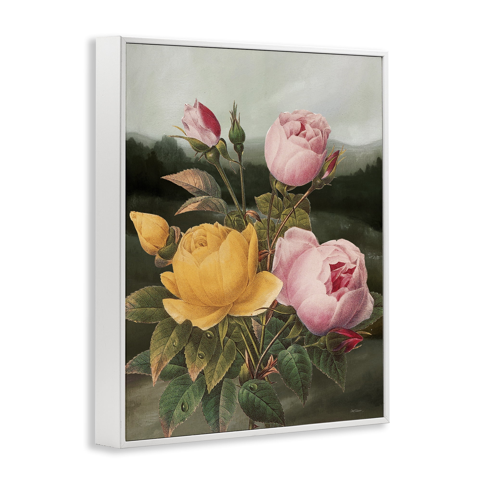 Stupell Industries Vintage Peony Blooms Botanical & Floral Painting White Framed Art Print Wall Art, 11 x 14