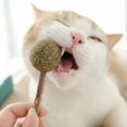 thumbnail image 3 of Chupete de hierba gatera Matatabi, juguete de pelota para gato con palo, 1 paquete, 3 of 5