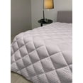 thumbnail image 2 of Salmon Down Alternative Comforter, Repetitive Basic Hand Drawn Abstract Leaves Illustration, Microfiber Quilt for All Season, 5 Sizes, Pale Sage Green Salmon, by Ambesonne, 2 of 3