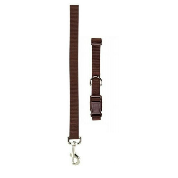 Nylon Solid Color Dog Collar and Lead 2 Piece Sets Durable Adjustable Selections (Chocolate,xSmall)
