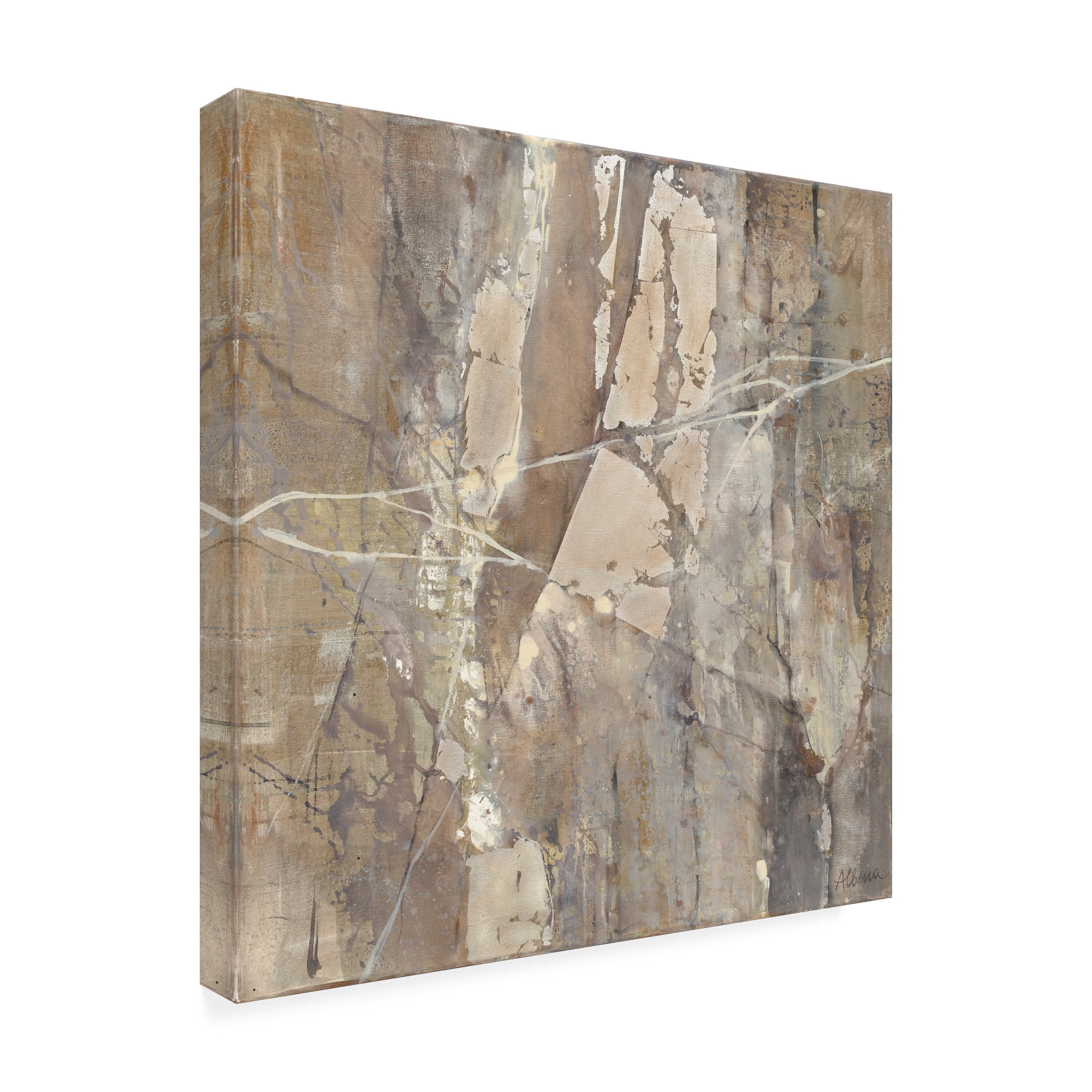 Trademark Fine Art 'Silver Ii' Canvas Art by Albena Hristova
