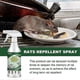thumbnail image 3 of Peppermint Essential Oil - Mouse Mice Bug Insect Spider Repellent, 3 of 5