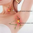 thumbnail image 4 of WILLBEST Aretes De Acero Inoxidable Para Mujer, Con Diseño De Tachuelas Magnéticas Lymphactive, De Circonita Cúbica, Con Energía Y Salud, Para Mujeres, Hombres Y Niñas., 4 of 5