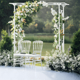 thumbnail image 3 of SSyao Heavy Duty Metal Garden Arch Archway Plants Rose Wreath Wedding Stand Event Deco, 3 of 12