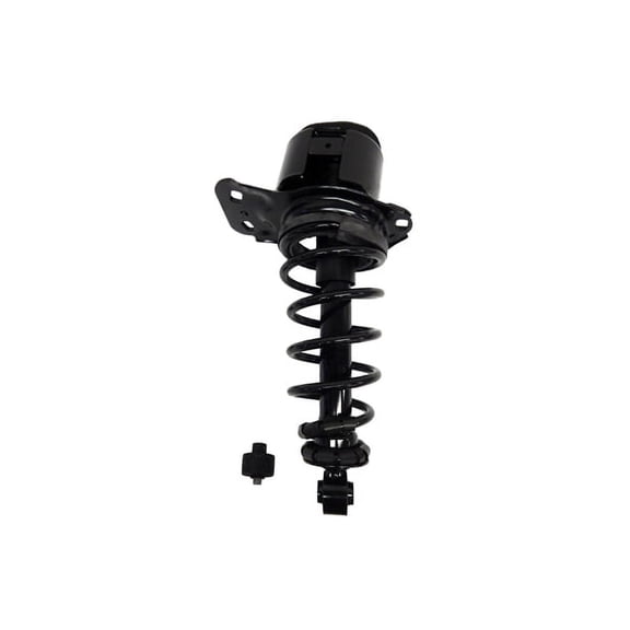Suspension Strut and Coil Spring Assembly