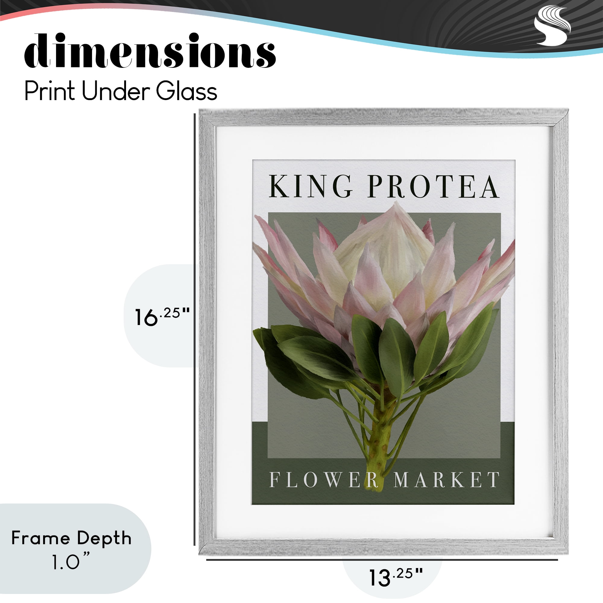 Stupell Industries King Protea Flower Market Gray Framed Print Under Glass, design by Jennifer Stith