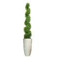 thumbnail image 1 of 73" Spiral Topiary in fiberstone planter, 1 of 5