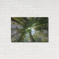 thumbnail image 3 of Luxe Metal Art 'POV' by Luxe Portfolio, Metal Wall Art, 36"x24", 3 of 9
