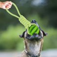 thumbnail image 5 of Dog Ball with Rope Tug of War Toy Interactive Dog Toy Dog Rope Toy Puzzle Feeders Toy for Exercise Boredom, 5 of 8