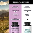 thumbnail image 3 of Beyond Vitamins | Schisandra Extracto 4:1 500mg Potenciado Con Calcio - Cápsulas Vcaps Veganas - Vitaminas Mujer / Hombre -  60 Cápsulas, 3 of 7