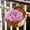 B, variant on 1 Pack Artificial Flower Bouquet Waterproof Weather Resistant Glitter Shiny Sparkly Finish For Bedroom Decor Tropical Colors Exotic Colors