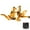 Gold, variant on Arashi (Version 2.0) Rearsets for Triumph Speed Triple 1050 2011 - 2015 2012 2013 2014 Motorcycle Accessories Adjustable Footrests Foot Pegs Rear Sets Gold