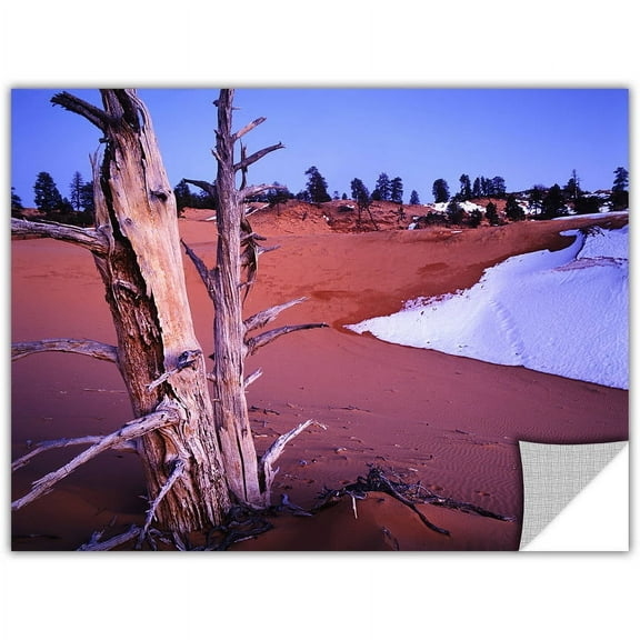 Dean Uhlinger Coal Dunes Dusk, Art Appeelz Removable Wall Art Graphic